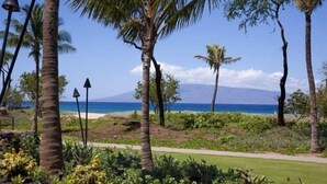 A tropical landscape with palm trees, a pathway, and a view of the ocean and a mountain in the distance.