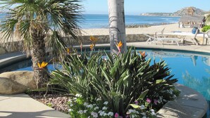 Zona de piscina con plantas tropicales y vista a la playa.
