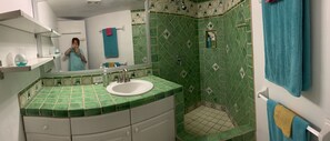 Shower, hair dryer, towels