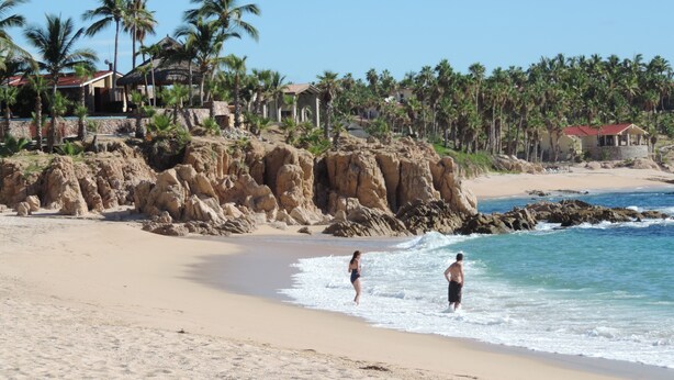 Una playa con aguas cristalinas, palmeras y acantilados rocosos.