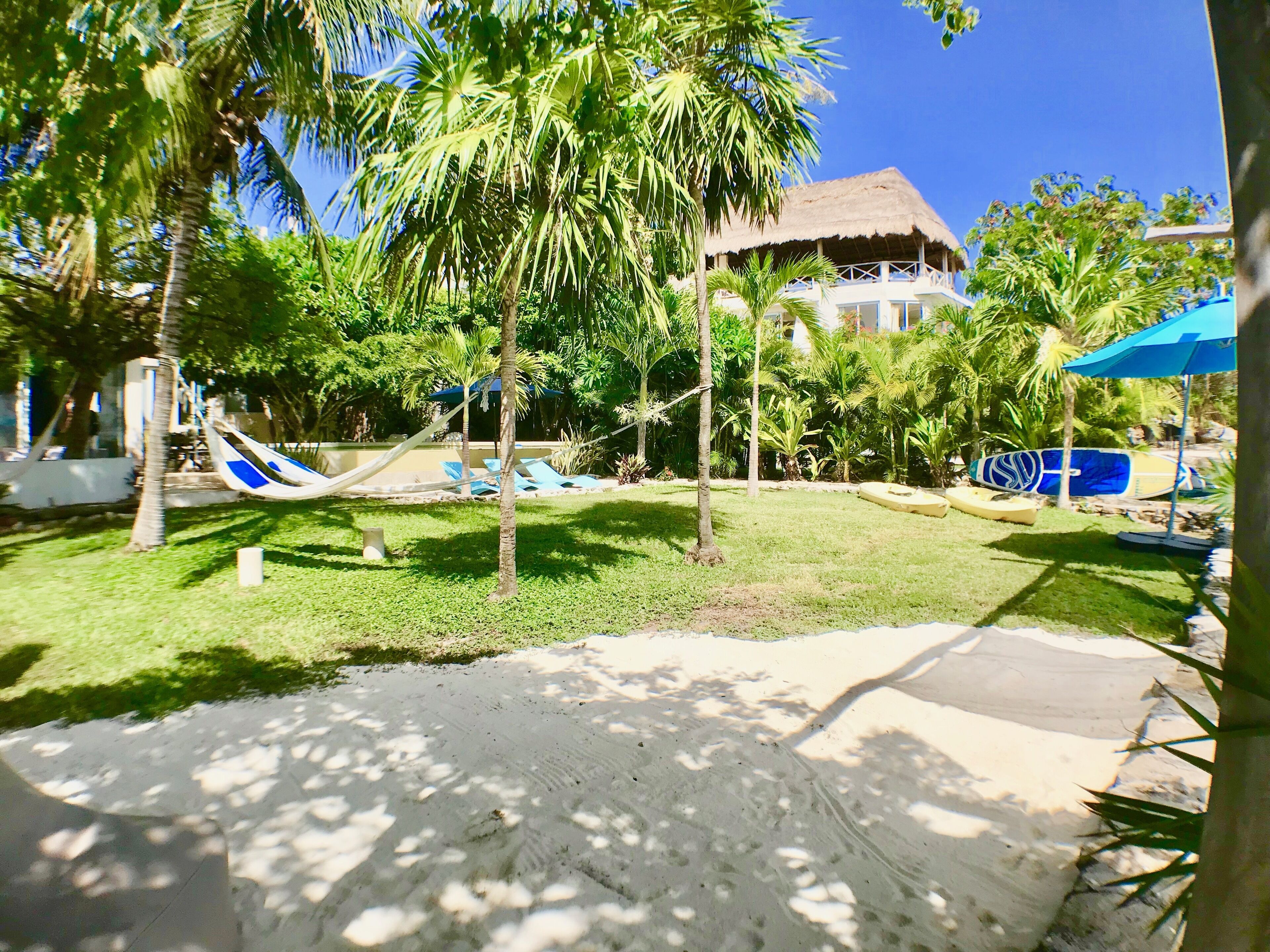 3+ Br Oceanfront Newly Renovated & Ocean swimming & pool