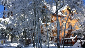 A wooden cabin surrounded by snow-covered trees.