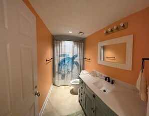 Combined shower/bathtub, hair dryer, towels, toilet paper