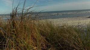Uma praia com areia e grama ao primeiro plano, e o oceano ao fundo.