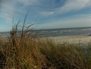 Ranta lähistöllä, aurinkotuoleja