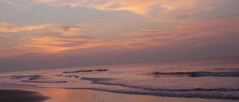 Playa en los alrededores y camastros