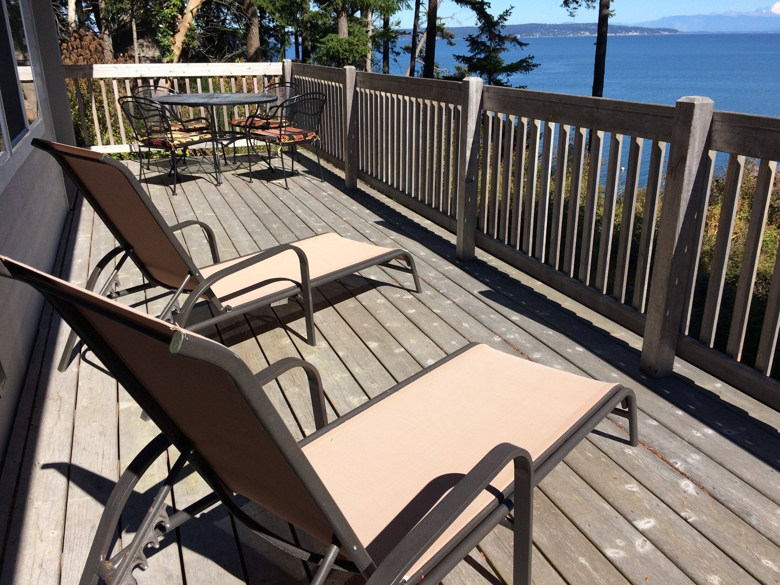 Top 8 PetFriendly In Whidbey Island, USA Updated 2024