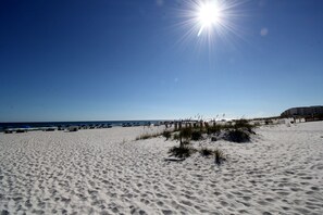 Une plage de sable fin, un ciel dégagé et un soleil éclatant.