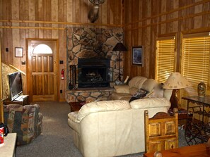 Smart TV, fireplace, video games, DVD player