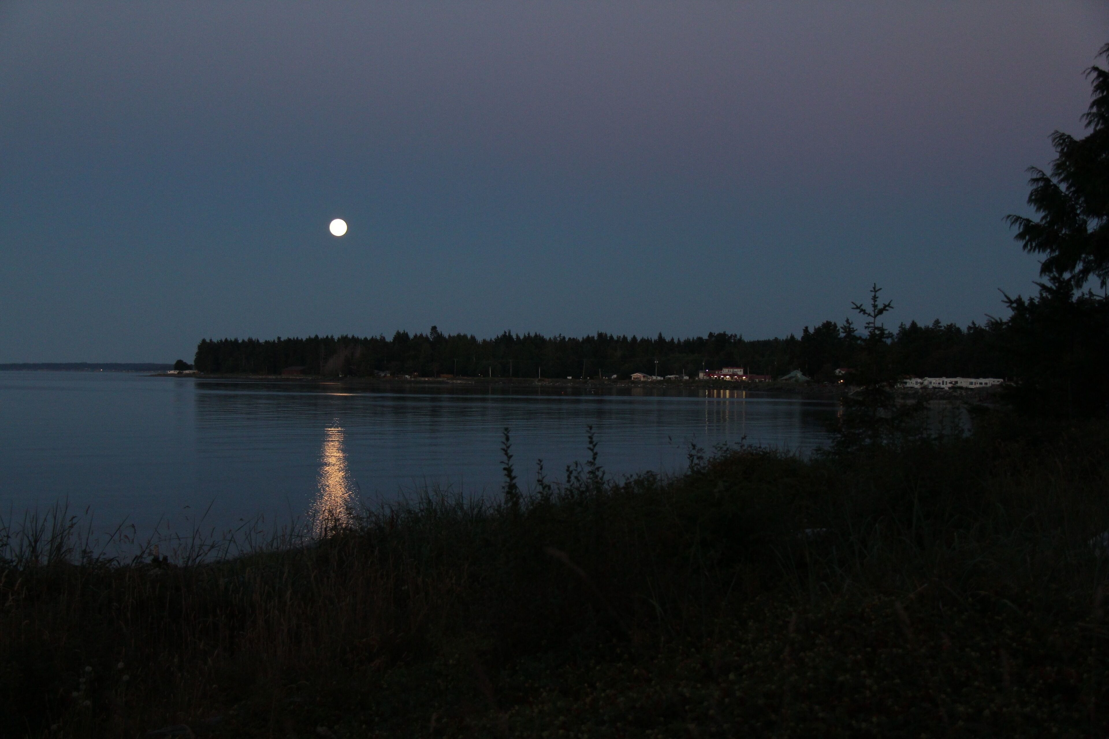 A calm lake at dusk with a visible moon.