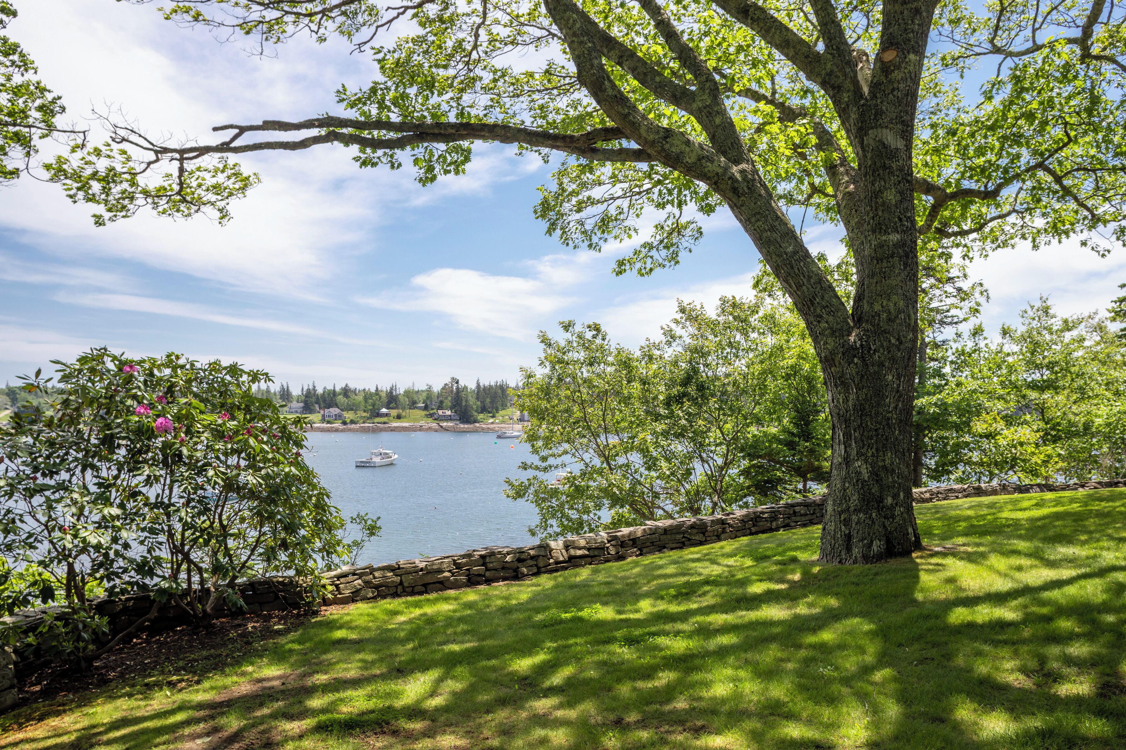 Un grand arbre, avec un mur de pierres au premier plan, une zone herbeuse et une étendue d’eau où l’on aperçoit des bateaux au loin.