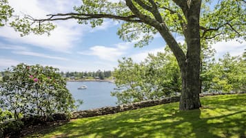 Un grand arbre, avec un mur de pierres au premier plan, une zone herbeuse et une étendue d’eau où l’on aperçoit des bateaux au loin.