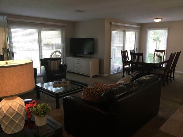 TV, lareira, DVD player