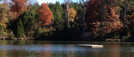 Lago