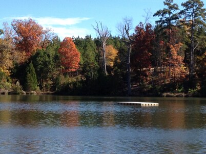 Country Get Away Cabin In The East Texas Piney Woods