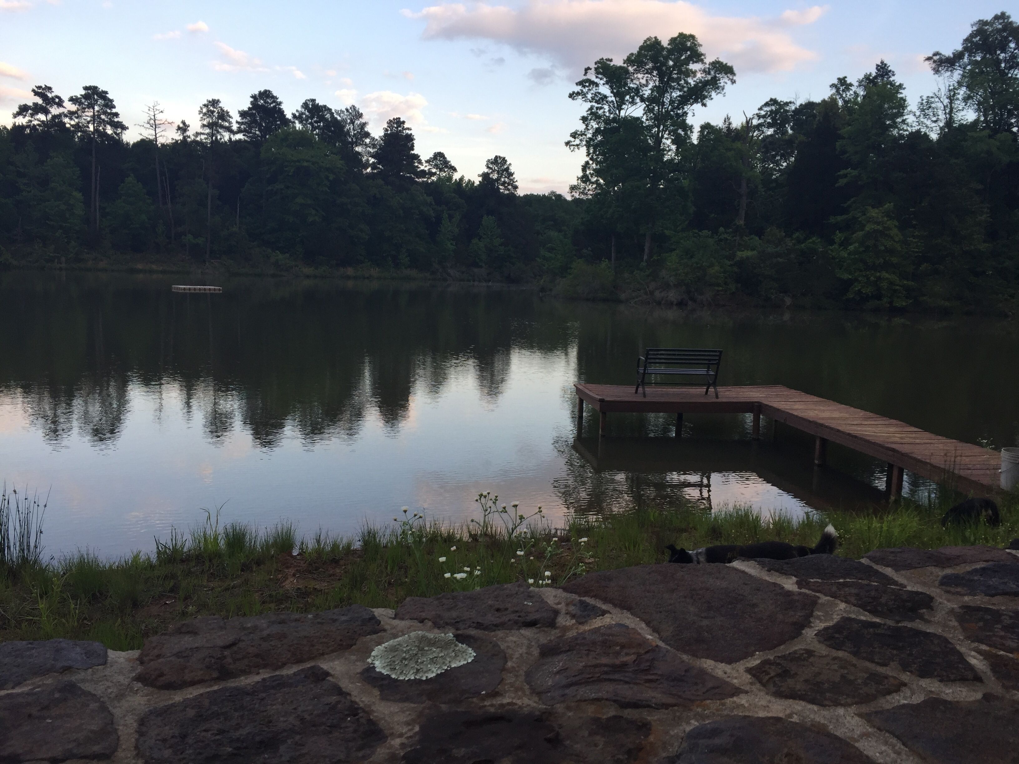 A calm lake with a wooden dock and a bench.