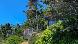 A rocky landscape with a wooden boardwalk, dense green foliage, and a structure with a glass facade in the background.