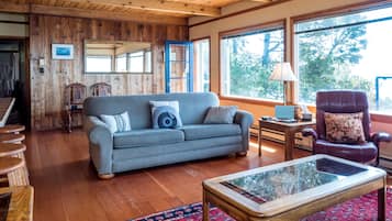 Smart TV, fireplace, DVD player, video library