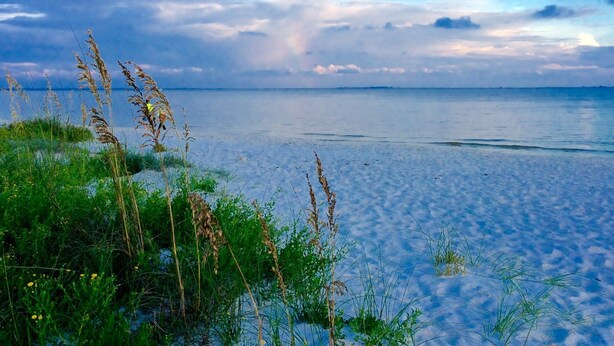A beach with clear water and a cloudy sky. - Luxury WATERFRONT condo overlooking pool, 5 mins to Dog Island, FREE boat slip. (Carrabelle)