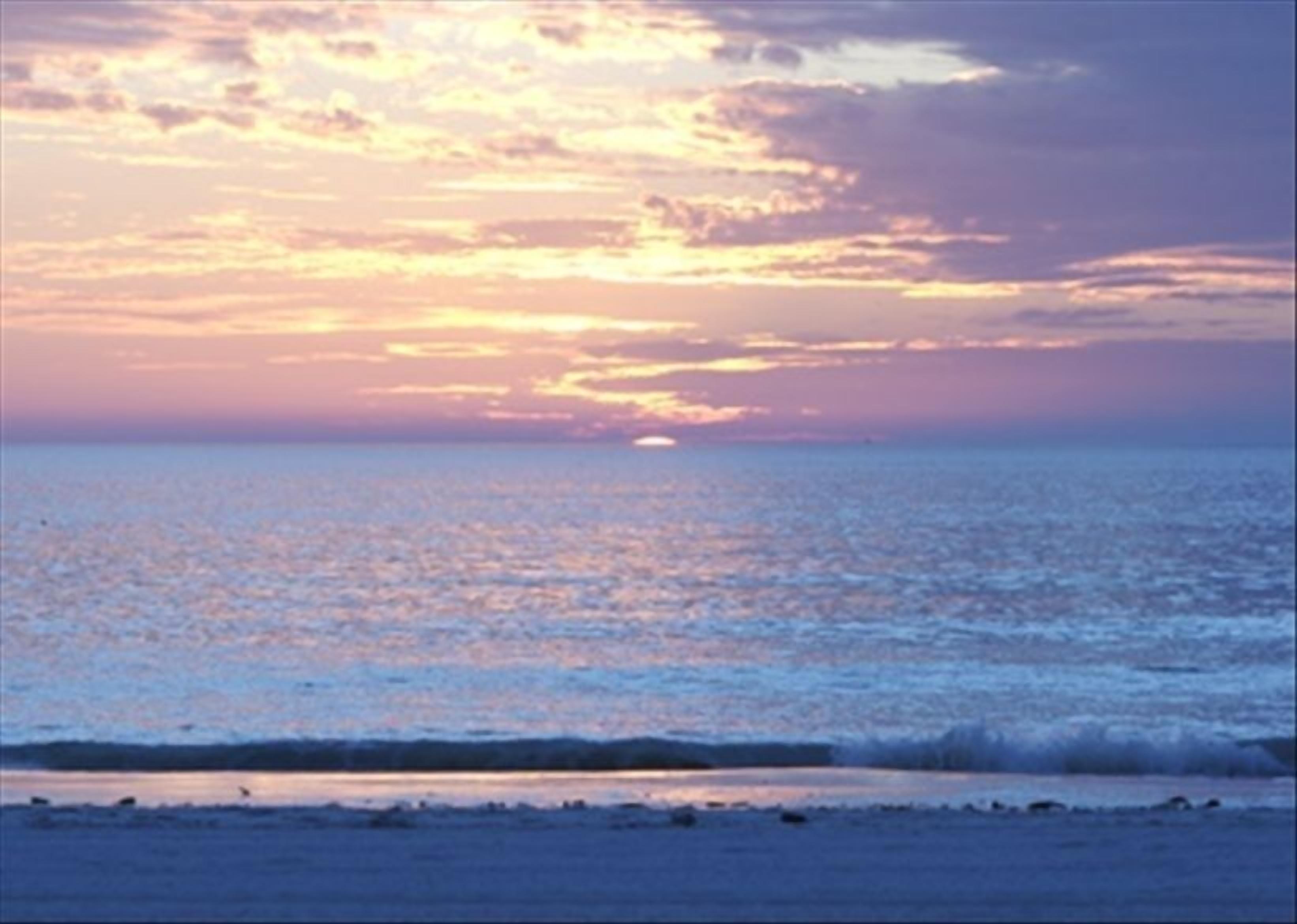 Redington Shores Condo