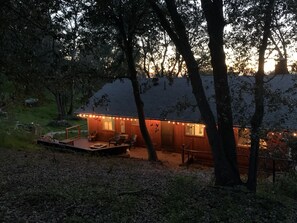 Exterior - Pet &. Family Treehouse style cabin in woods (Julian)