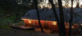 Pet/Family Treehouse style cabin in woods 