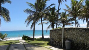 A pathway leading to a beach with palm trees and a stone wall.