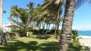 A tropical garden with palm trees, a stone wall, and a beach view.
