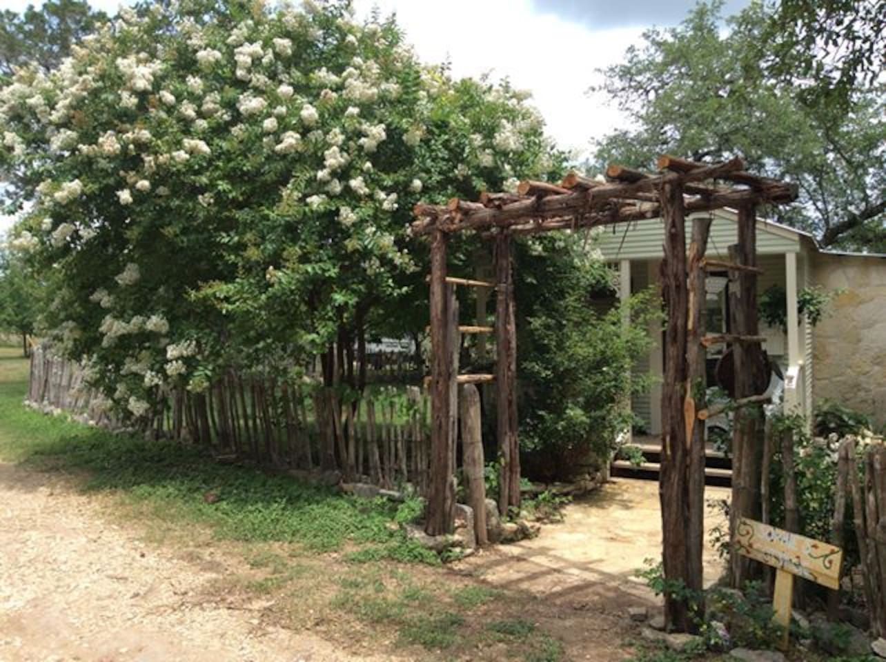 Een houten pergola, omgeven door weelderig groen en bloeiende bomen, met een ladder ertegen.
