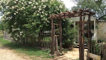 Een houten pergola, omgeven door weelderig groen en bloeiende bomen, met een ladder ertegen.