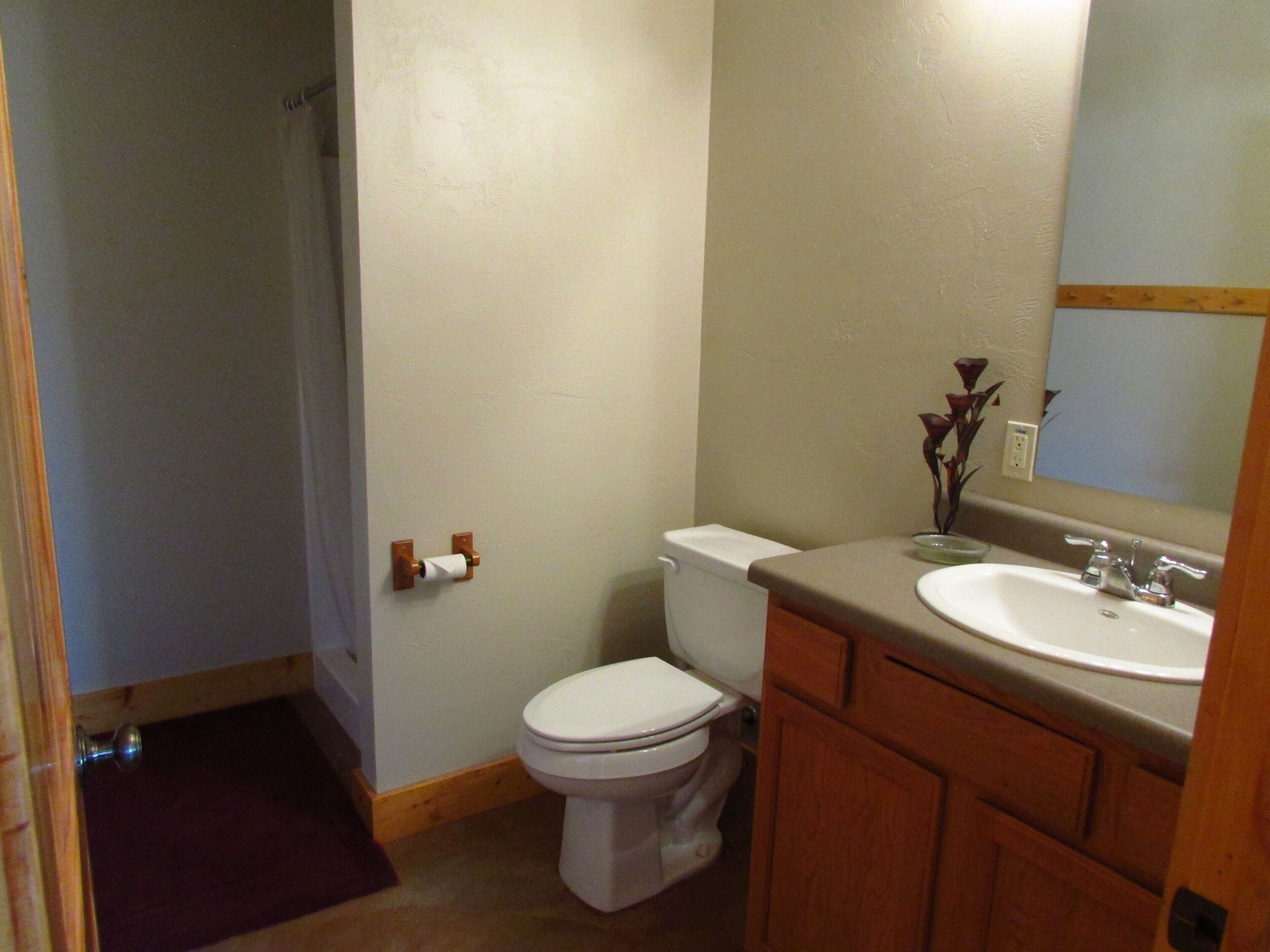 Shower, towels