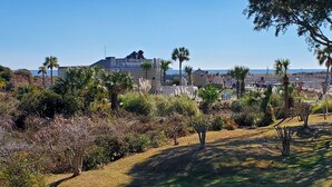 A coastal landscape with a variety of vegetation, including palm trees and shrubs, and a building with a flat roof in the background. - Ocean Front 1st Row ~ Private Corner Unit ~ Close to Pool, Beach Bar & Boardwalk (Hilton Head Island)