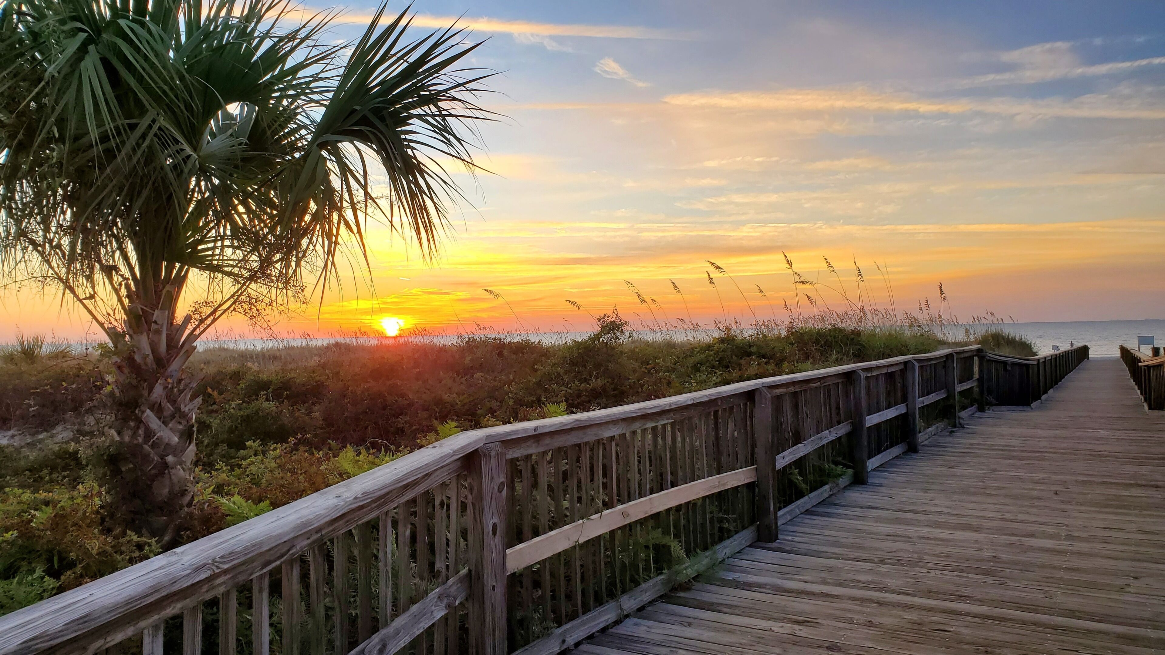 Boardwalk to the beach