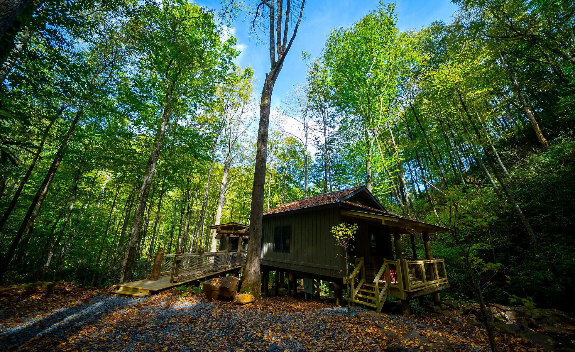 Complete Private Cove Property, 7 Houses, Stream front nestled in 500 + acres