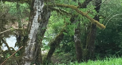 Kodikas mökki Sol Duc -joella nukkuu neljä. Täysin varusteltu keittiö ja liinavaatteet.