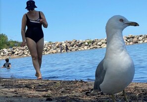 ビーチの近く