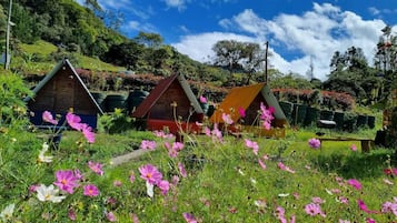 Basic Tent, Mixed Dorm | Bed sheets