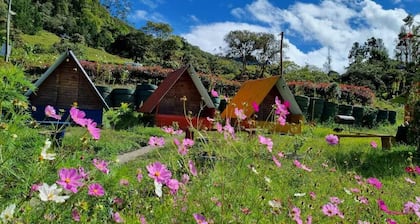 Cabañas la Campiña