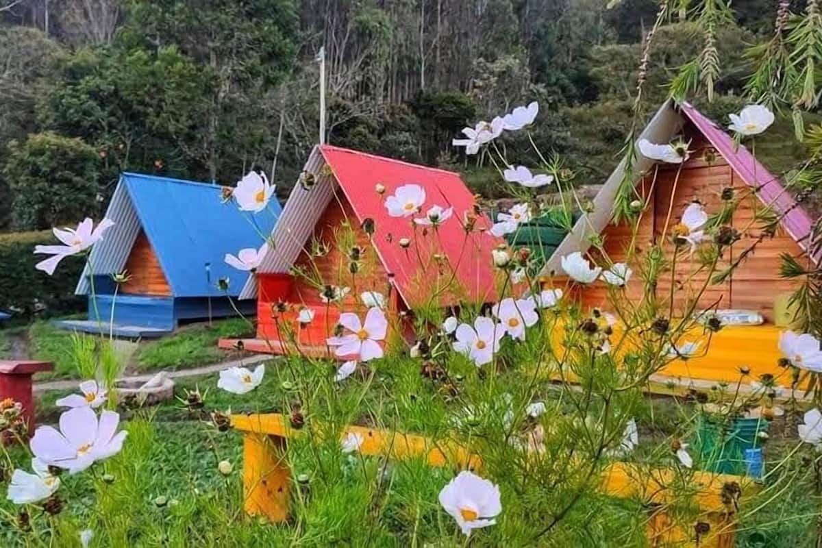 A row of colorful birdhouses in a garden.