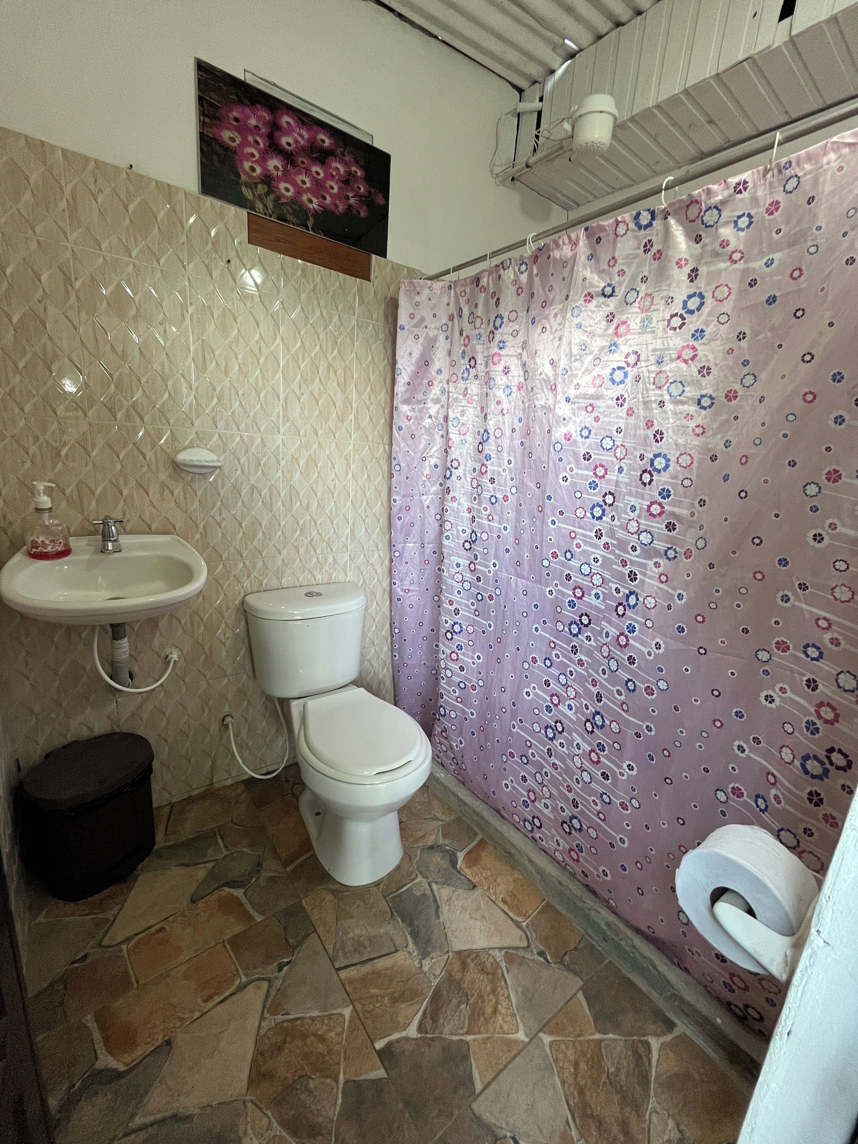 A bathroom with a toilet, sink, and shower curtain.