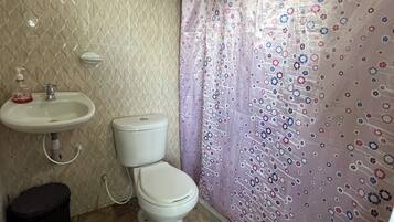 A bathroom with a toilet, sink, and shower curtain.