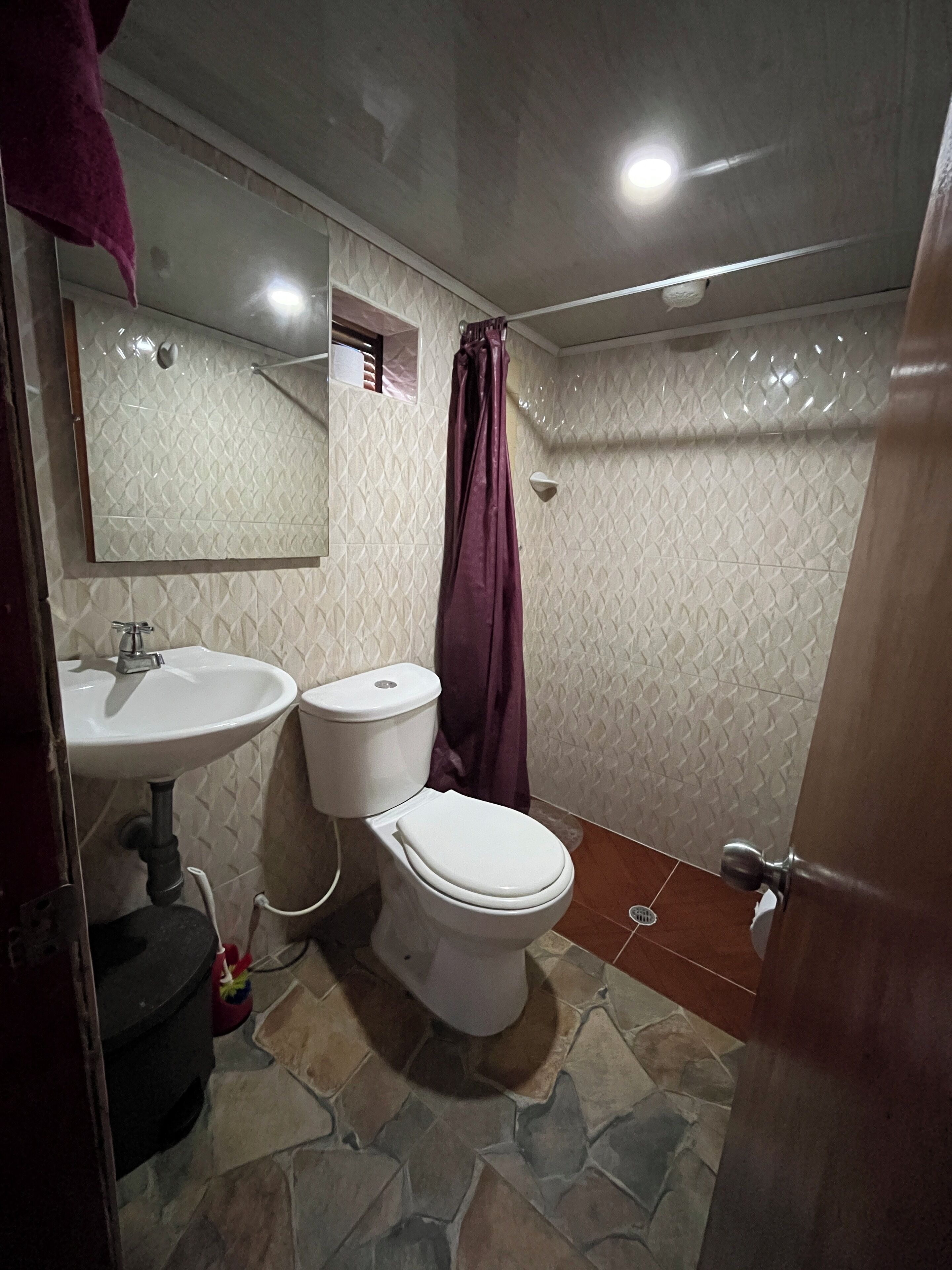 A bathroom with a sink, toilet, and shower curtain.