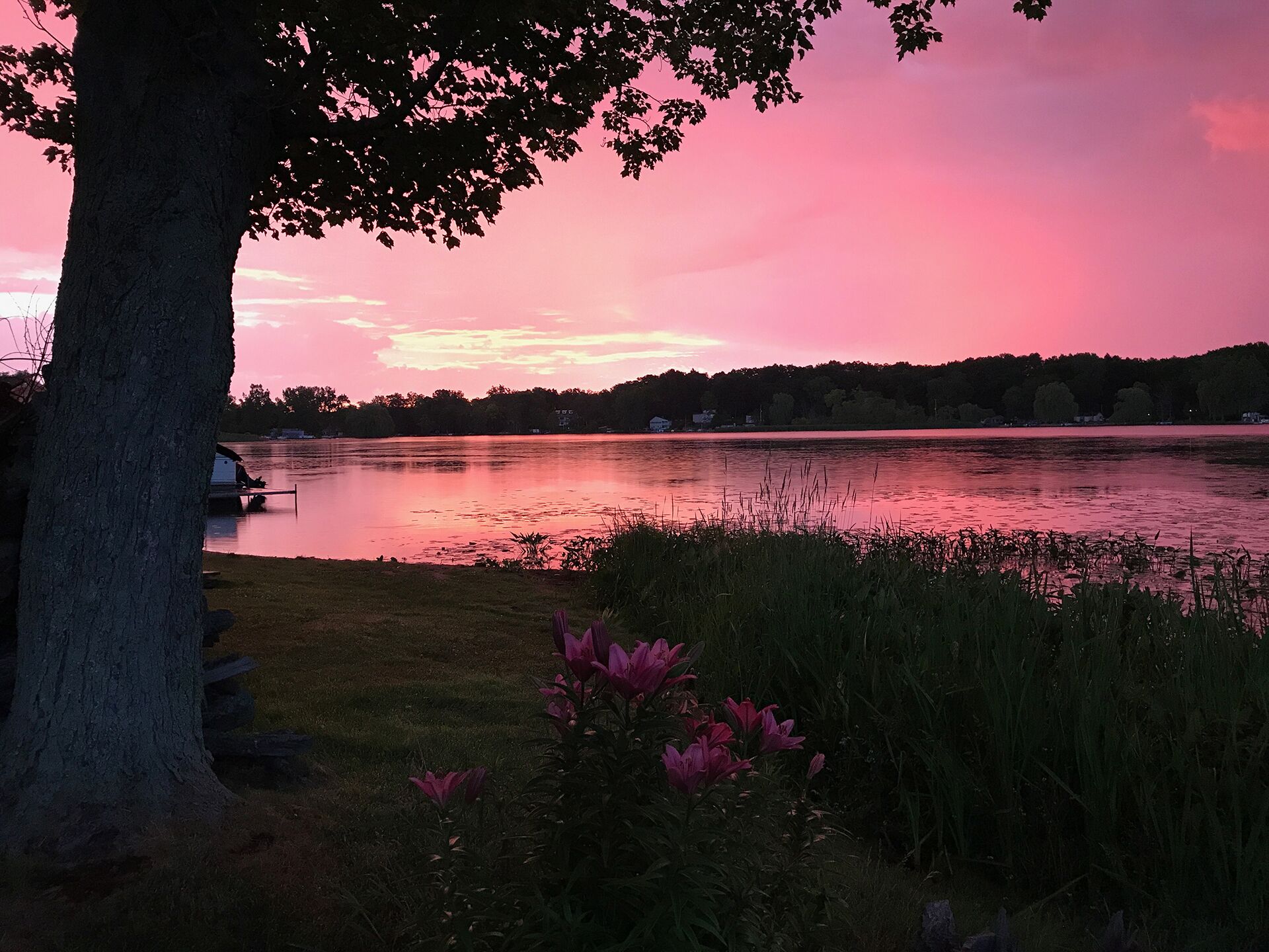 A lakeside view with a dock, trees, and a pink sky.