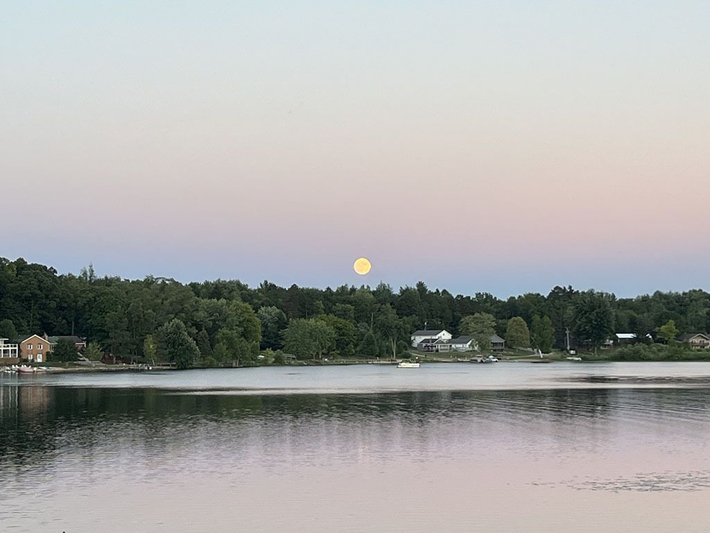 Un lago con una casa y árboles al fondo.