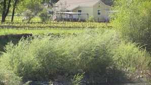 A house with a fenced yard and a river in the foreground.