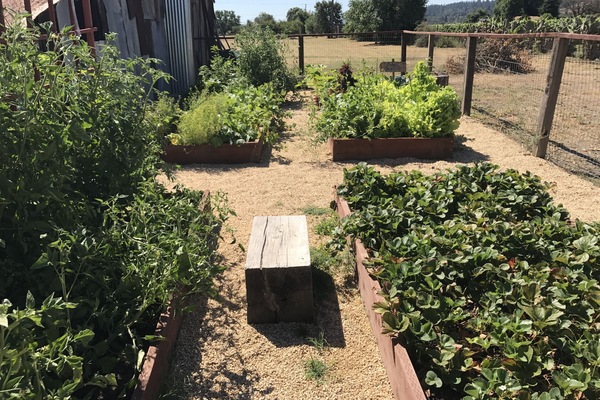 Área da propriedade