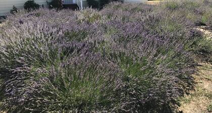 Secluded Russian River Farmhouse: Vinyard Retreat, minutes from Healdsburg