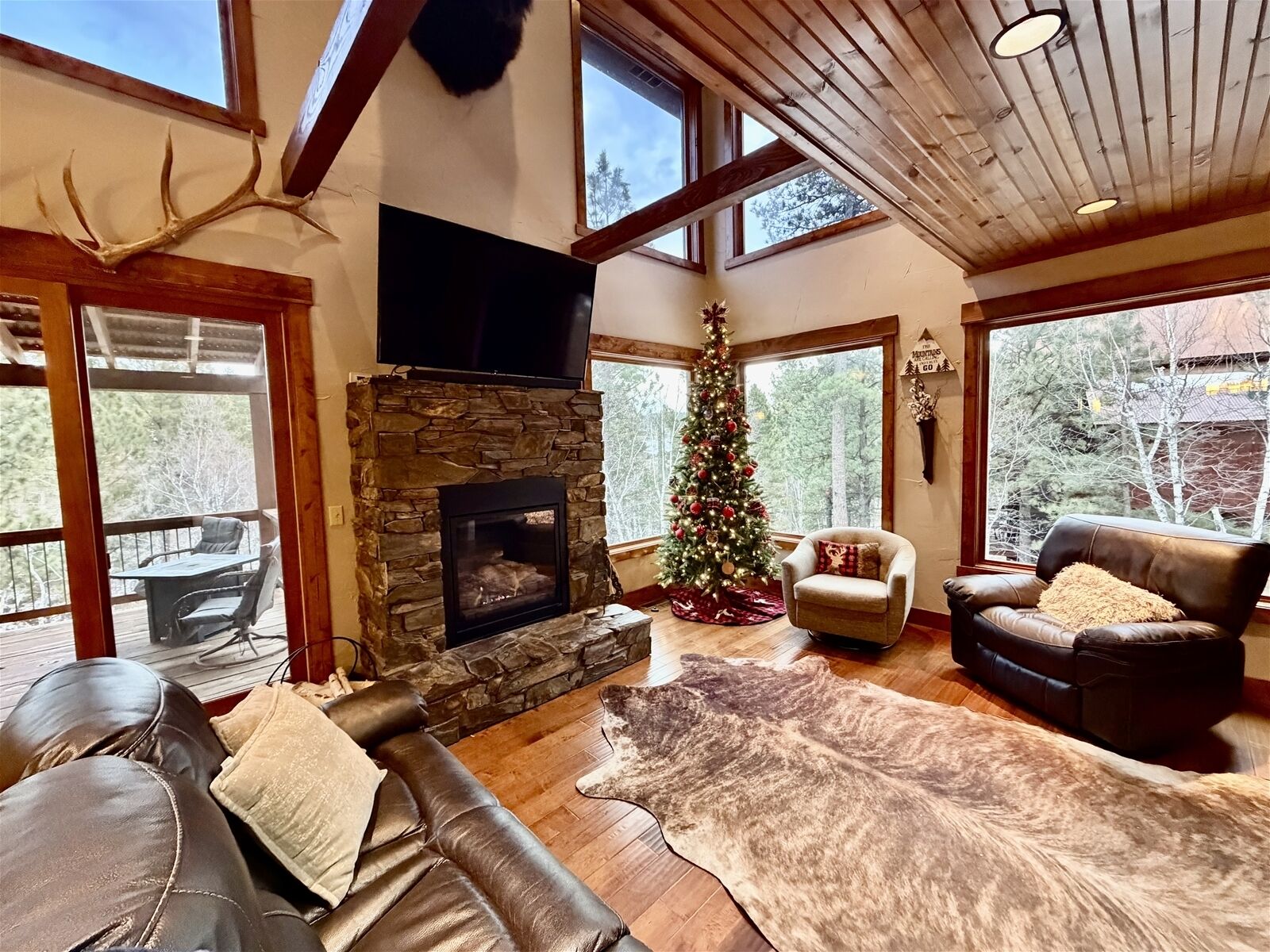 Televisión, chimenea y reproductor de DVD 