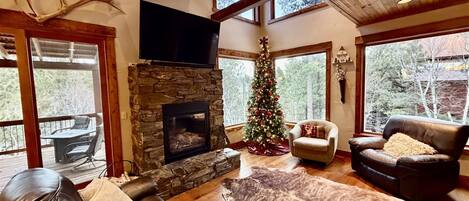 Televisión, chimenea y reproductor de DVD