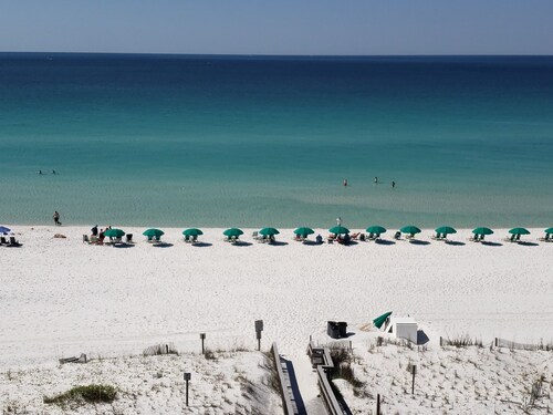 Deja que los Dolphins te hagan serenata para dormir ... ¡Sí! Está tan cerca del agua